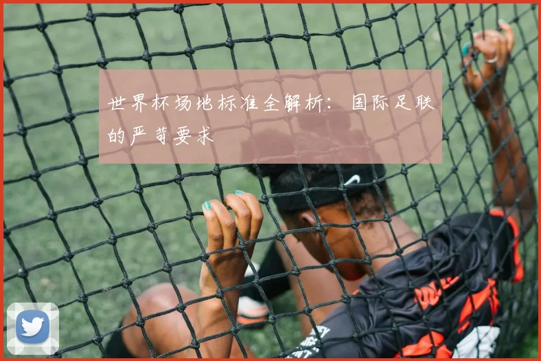 世界杯场地标准全解析：国际足联的严苛要求