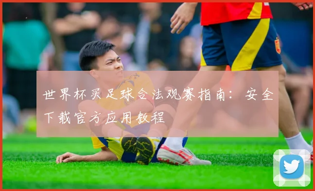 世界杯买足球合法观赛指南:安全下载官方应用教程