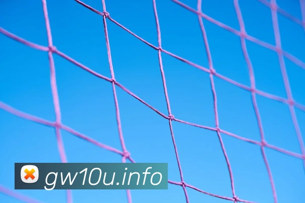 九游体育平台官网服务体系